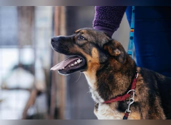 Amira möchte endlich ein liebevolles Zuhause