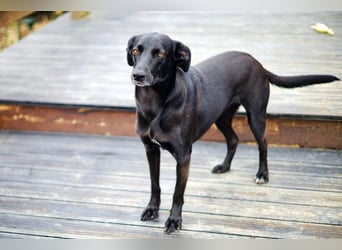 Wunderschöne Mai sucht ihre Familie