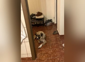 Große Odette sucht ihr eigenes Zuhause