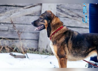 Amira möchte endlich ein liebevolles Zuhause