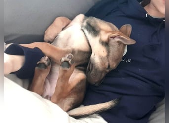 Goldige Burita will eine eigene Familie