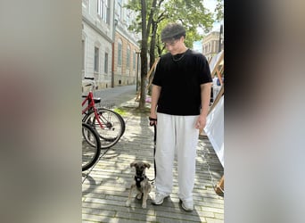 Goldige Miraya sucht ihre Menschen