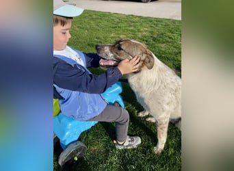 Hübsche Olive sucht ihr eigenes Körbchen