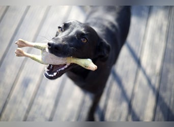 Wunderschöne Mai sucht ihre Familie