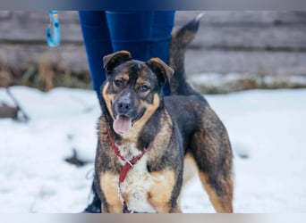 Amira möchte endlich ein liebevolles Zuhause