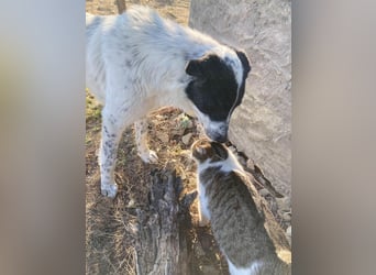 Große Monnie sucht passendes Körbchen