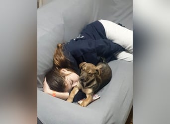 Goldige Burita will eine eigene Familie