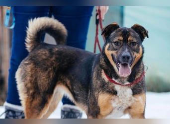 Amira möchte endlich ein liebevolles Zuhause