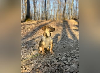 Goldige Burita will eine eigene Familie