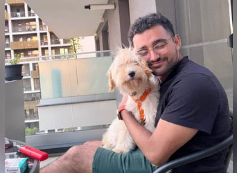 Zuckersüße Radya sucht ihr Zuhause
