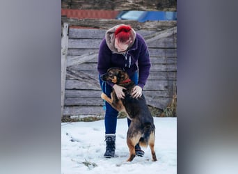 Amira möchte endlich ein liebevolles Zuhause