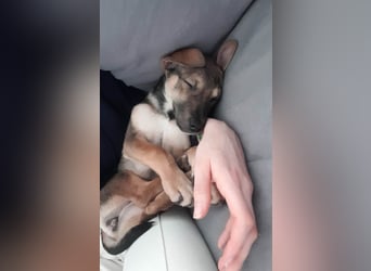 Goldige Burita will eine eigene Familie