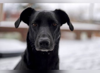 Wunderschöne Mai sucht ihre Familie