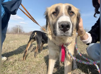 Große Odette sucht ihr eigenes Zuhause
