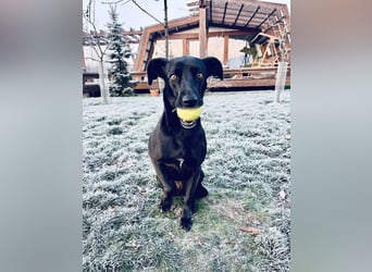 Wunderschöne Mai sucht ihre Familie