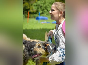 Aktive Lucy sucht ebenso aktive Menschen