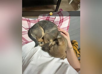 Goldige Burita will eine eigene Familie