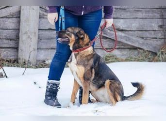 Amira möchte endlich ein liebevolles Zuhause