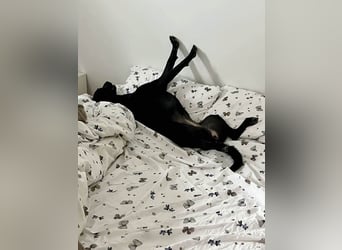 Wunderschöne Mai sucht ihre Familie