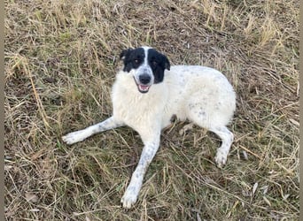 Große Monnie sucht passendes Körbchen