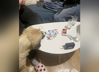 Große Odette sucht ihr eigenes Zuhause