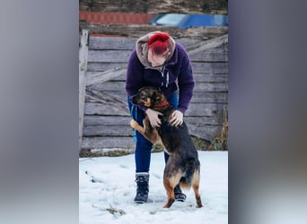 Amira möchte endlich ein liebevolles Zuhause