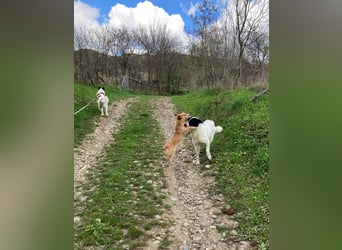 Große Monnie sucht passendes Körbchen