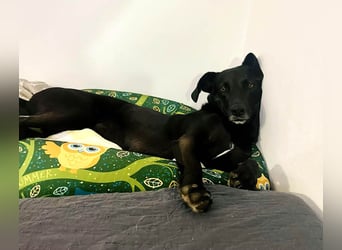 Wunderschöne Mai sucht ihre Familie