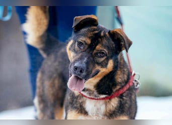 Amira möchte endlich ein liebevolles Zuhause