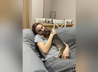 Goldige Burita will eine eigene Familie