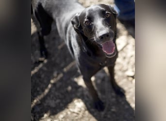 Wunderschöne Mai sucht ihre Familie