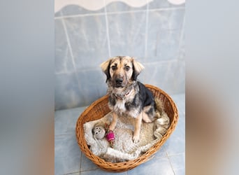 Süße Vio sucht ihre Familie