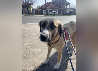 Große Odette sucht ihr eigenes Zuhause