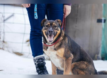 Amira möchte endlich ein liebevolles Zuhause