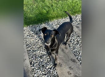 Wunderschöne Mai sucht ihre Familie