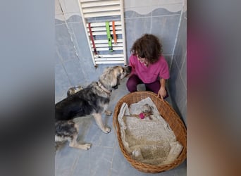 Süße Vio sucht ihre Familie