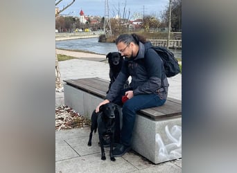 Wunderschöne Mai sucht ihre Familie