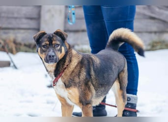 Amira möchte endlich ein liebevolles Zuhause