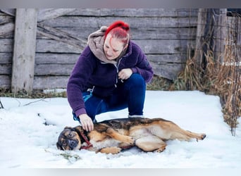 Amira möchte endlich ein liebevolles Zuhause