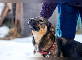 Amira möchte endlich ein liebevolles Zuhause