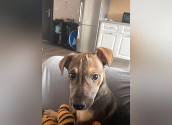 Goldige Burita will eine eigene Familie