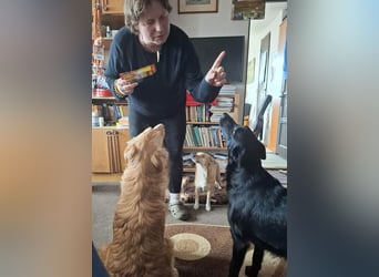 Hübsche Margo sucht ihr Körbchen