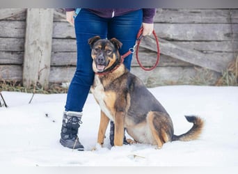 Amira möchte endlich ein liebevolles Zuhause