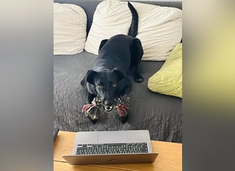 Wunderschöne Mai sucht ihre Familie