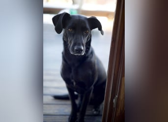 Wunderschöne Mai sucht ihre Familie