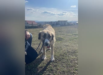 Große Odette sucht ihr eigenes Zuhause