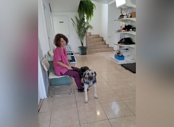 Süße Vio sucht ihre Familie