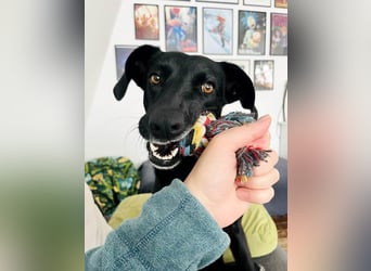 Wunderschöne Mai sucht ihre Familie