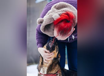 Amira möchte endlich ein liebevolles Zuhause