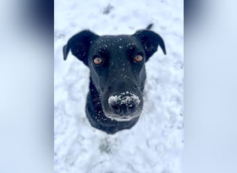 Wunderschöne Mai sucht ihre Familie